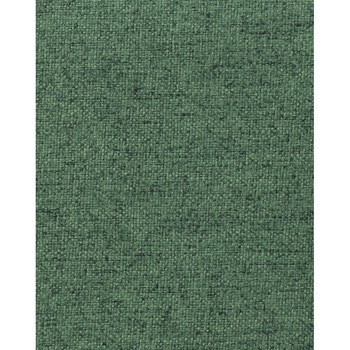 オフィスチェアー エビータ LION (ライオン事務器)