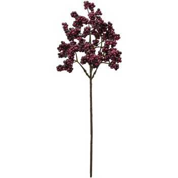 FM000550-007 �v�����x���[�s�b�N MAGIQ(������) ������ �x���[(���ʎ�) 43318645