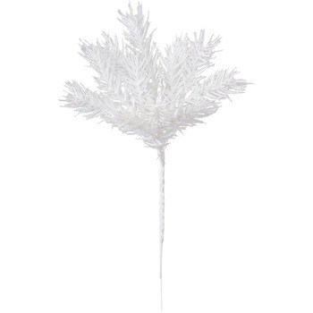 XV001945 ブランキーパインピック 1束(3本) MAGIQ(東京堂