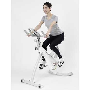 BK1700 スタンディングバイク 1700 アルインコ 荷重120kg - 【通販 