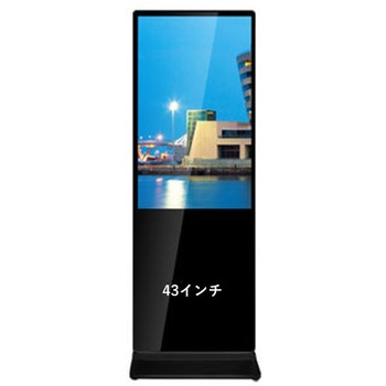 BS-WDAF-T143 ���������^�f�W�^���T�C�l�[�W bitstrong 43333056