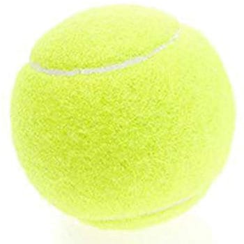 硬式テニスボール MS テニス 【通販モノタロウ】 4048