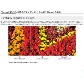 BDR-S12J-X Ultra HD Blu-ray UHDBD再生対応 特種塗装パネル SATA内蔵