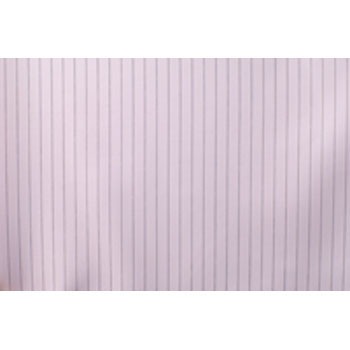 21211S AYsAN[X[c(|Pbgt)[CL100] AYsA(AY) 43380111