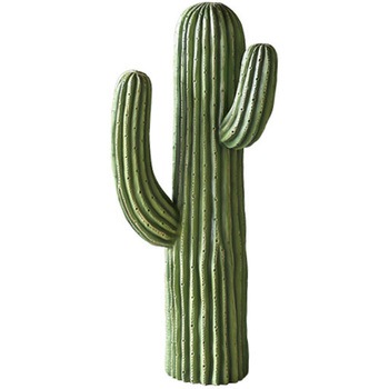 K655-657B CACTUS �J�N�^�X �_���g�� 43392546