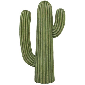 K655-657C CACTUS �J�N�^�X �_���g�� 43392555