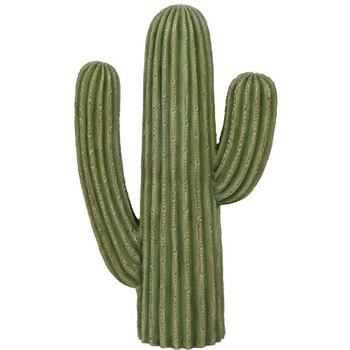 CACTUS カクタス ダルトン