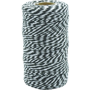 TWISTED STRING  ツイステッド ストリング ダルトン