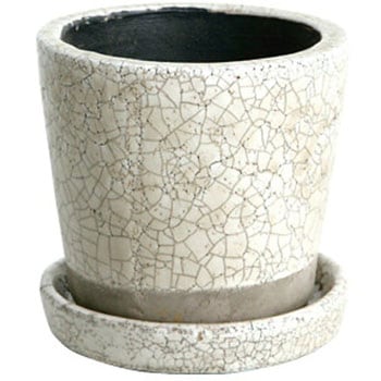 COLOR GLAZED POT カラー グレーズド ポット (3号鉢目安) ダルトン