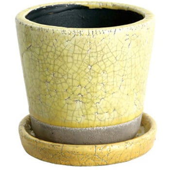 COLOR GLAZED POT カラー グレーズド ポット (3号鉢目安) ダルトン