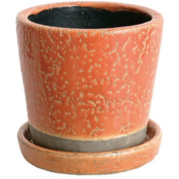 COLOR GLAZED POT カラー グレーズド ポット (3号鉢目安) ダルトン