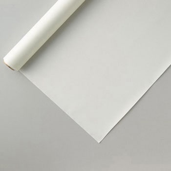 クリアライトロン コクゴ