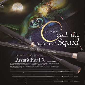 Arcard Real X アーカード リアルX SLASH
