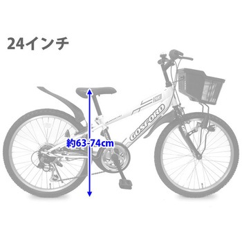 246ゴスフォードBL TOP