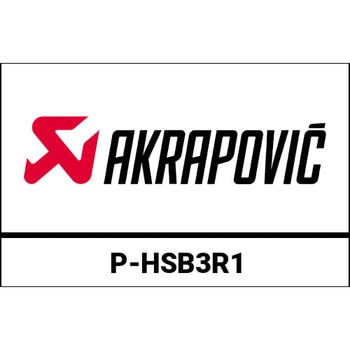 ヒートシールド (カーボン) BMW G 310 GS (2017-2020) AKRAPOVIC (アクラポビッチ)