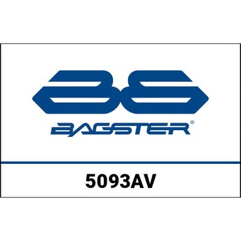 S. カスタマイズ V MAX 97/08 スペシャルメジャー BAGSTER (バグスター)