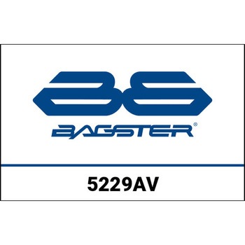 S. カスタマイズ R 1200 GS BAGSTER (バグスター)