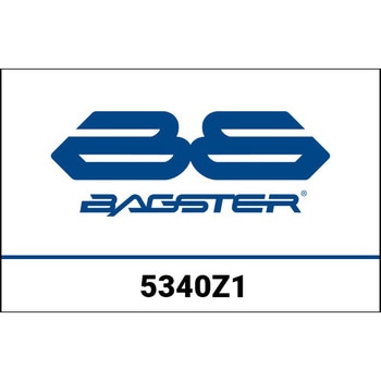 S. Ready Luxe Z800 STAM ブラック/ブラック NUBUCK/カーボンブラック/グリーン BAGSTER (バグスター)