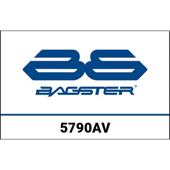 S. カスタマイズ YAMAHA DRAGSTER 125 BAGSTER (バグスター)