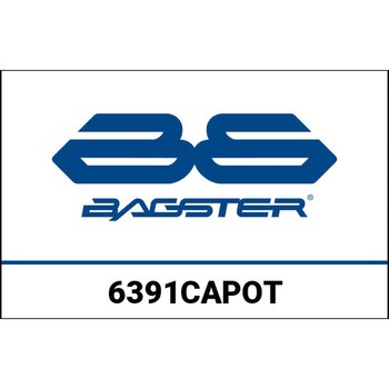 S. カスタマイズ BMW F800S/ST BASSE BAGSTER (バグスター)