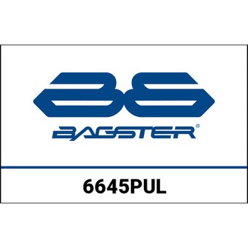 S. カスタマイズ SUZUKI V STROM (2011) BAGSTER (バグスター)
