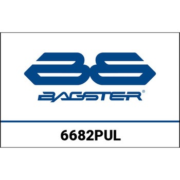 S. カスタマイズ KAWASAKI ZZR 1400 (12) BAGSTER (バグスター)