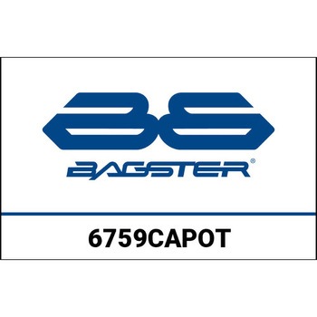 S. カスタマイズ YAMAHA MT 09 BAGSTER (バグスター)