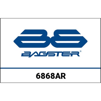 S. カスタマイズ YAMAHA R1 M 2016 BAGSTER (バグスター)