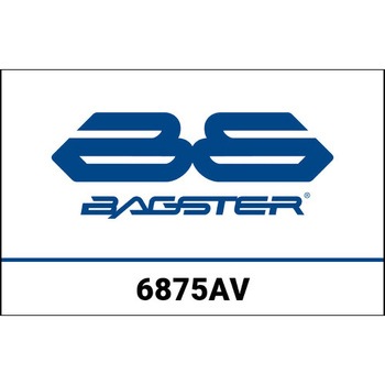 S. カスタマイズ KAWASAKI ZX 10 R 2016 BAGSTER (バグスター)