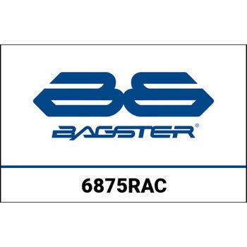 S. カスタマイズ KAWASAKI ZX 10 R 2016 BAGSTER (バグスター)