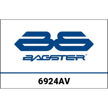 S. SUZUKI CUSTOMIZE GSX 125 R / S GSX 125 2017 BAGSTER (バグスター)