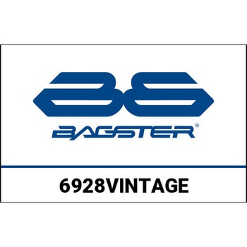 S. カスタマイズ  HARLEY DAVIDSON ROADSTER XL 1200 XC 2016-2017 BAGSTER (バグスター)