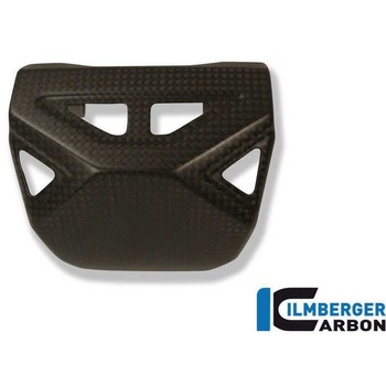 カーボンパーツ エグゾーストプロテクション (バルブ) Diavel ILMBERGER (イルムバーガーカーボンパーツ)