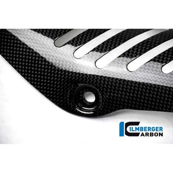 カーボンパーツ エキゾーストプロテクション マニホールド - Ducati Monster 1200/1200 S ILMBERGER (イルムバーガーカーボンパーツ)