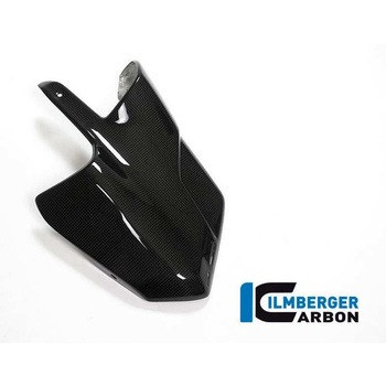 カーボンパーツ エキゾーストプロテクター Ducati MTS&apos；15 - ILMBERGER (イルムバーガーカーボンパーツ)