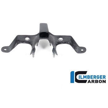 Ilmberger / イルムバーガー インスツルメントカバー(ウインドシールド) マット V4 Streetfighter ILMBERGER (イルムバーガーカーボンパーツ)