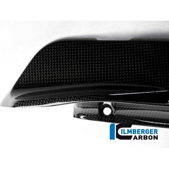 カーボンパーツ フレーム下部用カバー 左側 - Ducati Monster 1200/1200 S ILMBERGER (イルムバーガーカーボンパーツ)