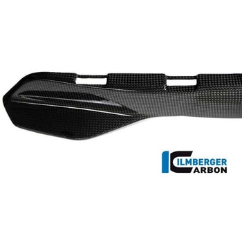カーボンパーツ フレーム下部用カバー 左側 - Ducati Monster 1200/1200 S ILMBERGER (イルムバーガーカーボンパーツ)