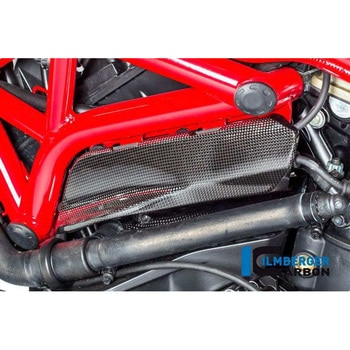 カーボンパーツ フレーム下部用カバー 左側 - Ducati Monster 1200/1200 S ILMBERGER (イルムバーガーカーボンパーツ)