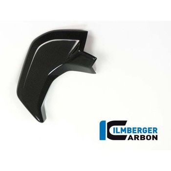 カーボンパーツ インストルメント用カバー 左側 グロス Ducati MTS&apos；15 - | CAL.016.D15 - ILMBERGER (イルムバーガーカーボンパーツ)