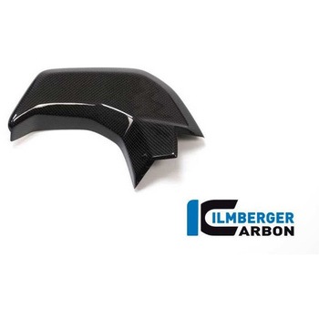 カーボンパーツ インストルメント用カバー 左側 グロス Ducati MTS&apos；15 - | CAL.016.D15 - ILMBERGER (イルムバーガーカーボンパーツ)