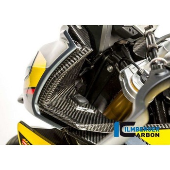 カーボンパーツ インストルメント用カバー 左側 BMW S1000XR&apos；15 - ILMBERGER (イルムバーガーカーボンパーツ)