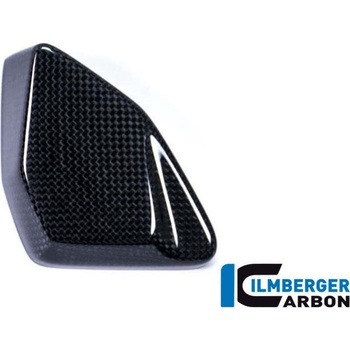 カーボンパーツ ESAボックスカバー BMW R 1200 GS &apos；17 - ILMBERGER (イルムバーガーカーボンパーツ)