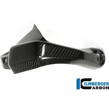 カーボンパーツ ハンドプロテクター 左側 - BMW S 1000 XR 2015- - ILMBERGER (イルムバーガーカーボンパーツ)