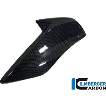 カーボンパーツ ウォータークーラーカバー 左側 (バッジホルダー 左側) ILMBERGER (イルムバーガーカーボンパーツ)