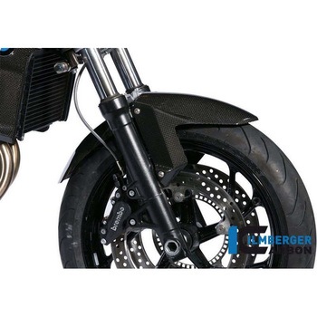 カーボンパーツ フロントマッドガード BMW F800R - ILMBERGER (イルムバーガーカーボンパーツ)