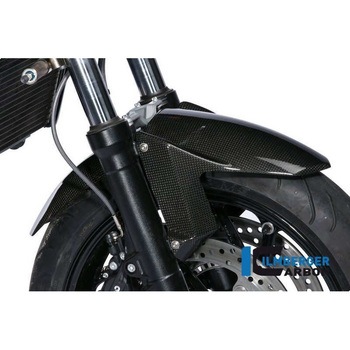 カーボンパーツ フロントマッドガード BMW F800R - ILMBERGER (イルムバーガーカーボンパーツ)