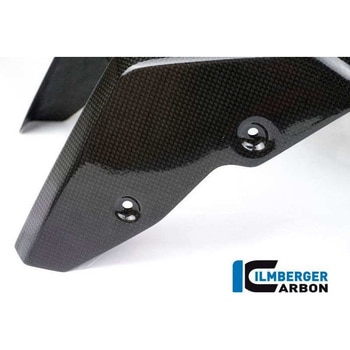 カーボンパーツ フロントマッドガード CARBON - BMW R NINE T - ILMBERGER (イルムバーガーカーボンパーツ)
