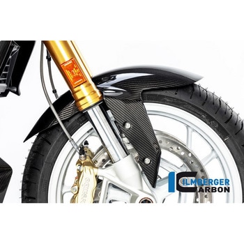 Ilmberger / イルムバーガーカーボンパーツ フロントフェンダー BMW R 1250 R (LC) 2019 - ILMBERGER (イルムバーガーカーボンパーツ)