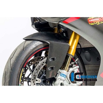 カーボンパーツ フロントフェンダー グロス Ducati パニガーレ 1199 / Ducati 1299 - ILMBERGER (イルムバーガーカーボンパーツ)